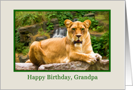 Birthday, Grandpa, Lion on a Rock card