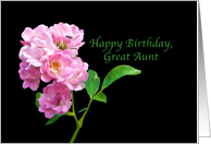 Birthday, Great Aunt, Pink Garden Roses on Black card