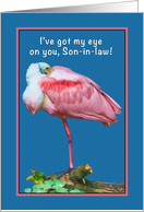 Birthday, Son-In-law, Roseate Spoonbill Bird, Humor card