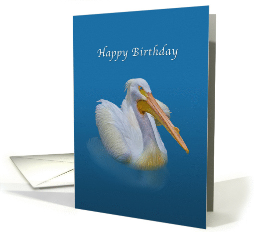 Birthday, White Pelican on Blue card (870390)