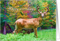 Birthday, Deer in the Forest card