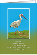 Birthday, Nephew, White Ibis Bird card