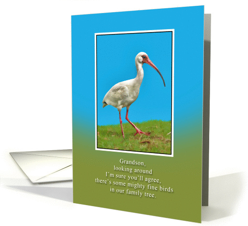 Birthday, Grandson, White Ibis Bird card (921037)