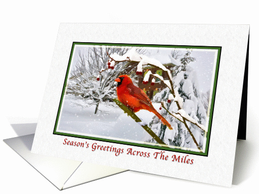 Christmas, Across the Miles, Cardinal Bird, Snow, Red Berries card