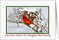 Christmas Wishes, Daughter and Family, Cardinal Bird, Snow card