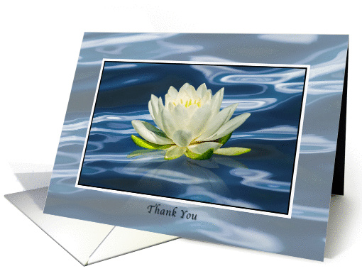 Thank You, Water Lily on Water card (960763)