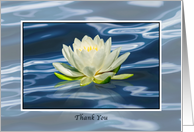 Thank You, Water Lily on Water card