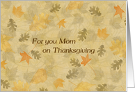 Thanksgiving - Mom - Fall Leaves card