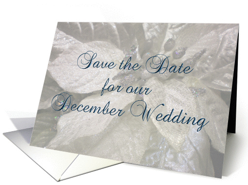 Save the Date - December Wedding card (186034)
