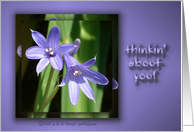 A tiny lily ... on purple card