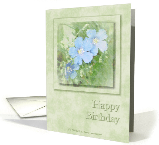Happy Birthday - General card (377891)