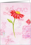 Valentine’s Day Love Letters Wonderful You Red Daisy card