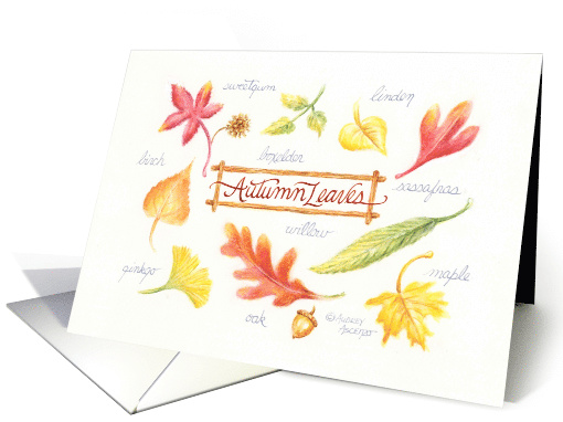 Christian Thanksgiving Autumn Leaves Blessings card (1141708)