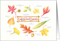 Christian Thanksgiving Autumn Leaves Blessings card
