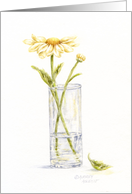 Blank Note Card Yellow Daisy In Vase Any Occasion card