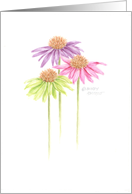 Sympathy Coneflowers Healing Thoughts Comfort and Peace card