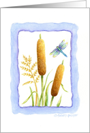 Blank Note Card Cattails & Dragonfly card