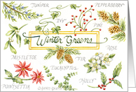 Christmas Christian Celebration Wonderful Winter Greens of Nature card