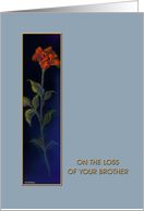 Loss of Brother, Sympathy ’Red Rose’ Greeting Card, card