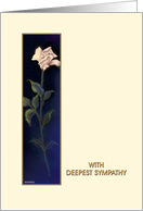 Sympathy, Ivory Rose’ Greeting Card, card