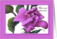 French, Female Friend, Birthday, Pink Rose Greeting Card, Amie Anniversaire, Rose rose card