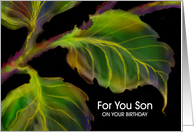 Son, Birthday Paper Greeting Card, ’Leaves’ card
