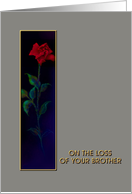 Loss of Brother, Red Rose, Sympathy Card