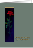 Spanish, Loss of Nephew, Sobrino, Red Rose, Sympathy Card