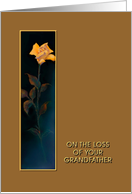 Loss of Grandfather, Golden Yellow Rose, Sympathy Card