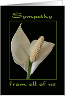 Sympathy from all of Us Peace Flower card