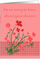 Sorry - Divorce card