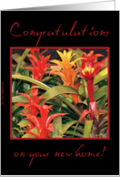 Congratulations on your new home! card