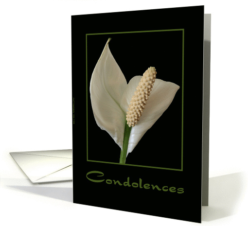 Condolences - Peace Lily card (188691)