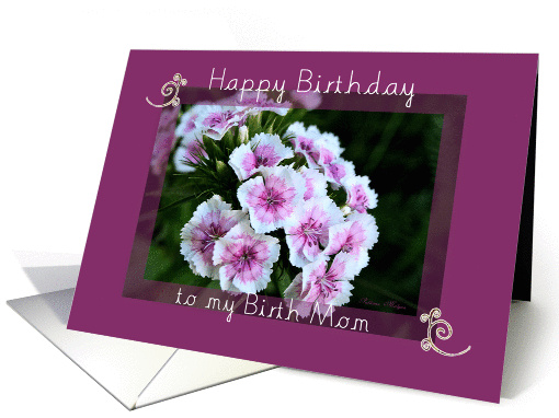Happy Birthday to my Birth Mom card (209852)