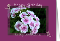 Happy Birthday to my Godmother card