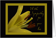 With Sympathy for your loss card