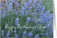 Happy Birthday, Mom - Lavender card