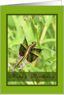 Happy Birthday- Dragonfly card