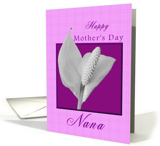 Mother's Day for Nana Peace Plant card (375952)