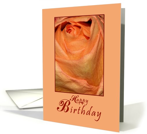 Happy Birthday Peach Rose card (467182)