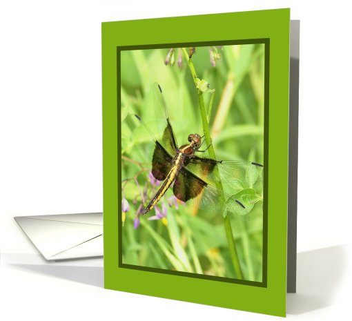Love for Girlfriend - Dragonfly card (620620)