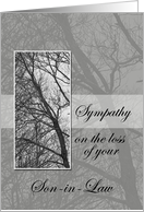 Loss of Son-in-Law Sympathy card