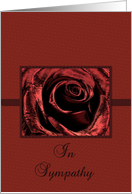 Sympathy Rose card