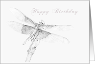 Dragonfly Happy Birthday card
