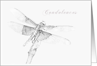 Condolences, Dragonfly card