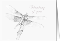 Thinking of You - Dragonfly card