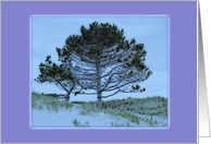 Get Well for Cancer Patient, Beach Tree card