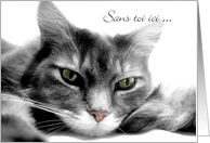 Bored Gray Cat Missing You Chat Gris Vous Manque Card
