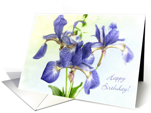 Happy Birthday with Japanese Blue Irises card (1017983)