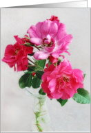 Beautiful Deep Pink Roses Still Life Blank Card